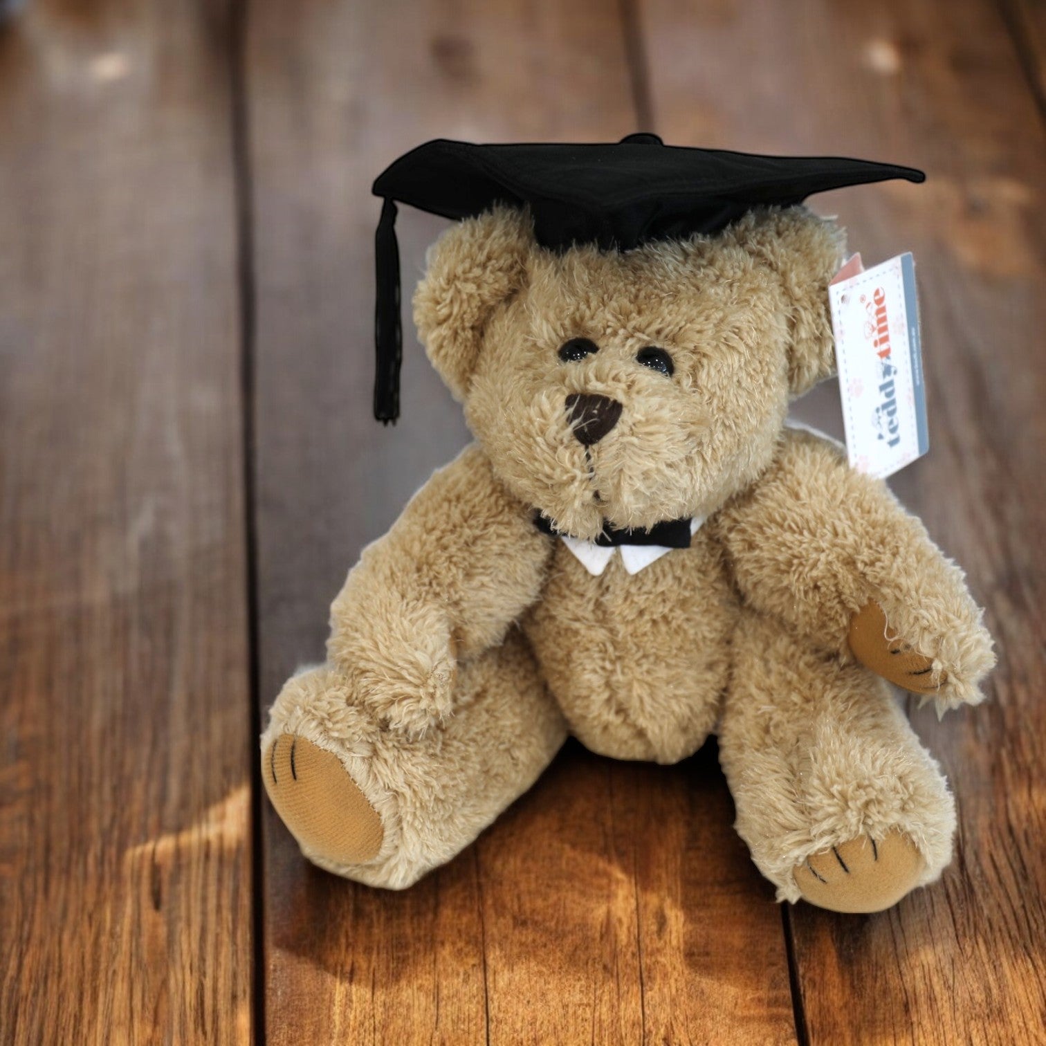 Graduation Teddy Bear William Jointed Brown 20cm
