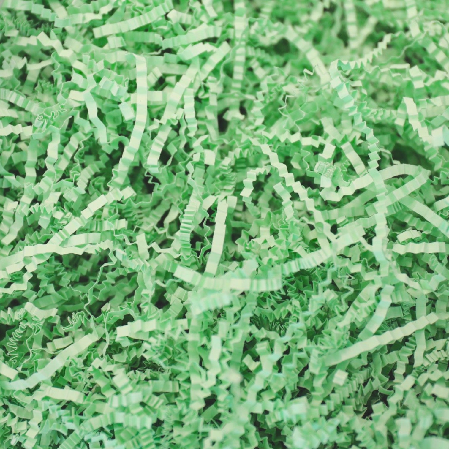 Light Green Filler Shredded Paper 100g